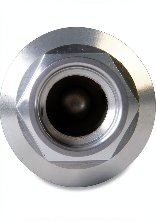 Holley Fuel Filter Replacement Part-2